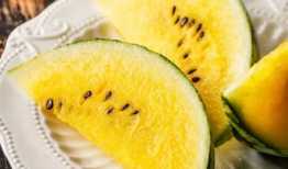 吃瓜爆料就看红料社区,吃瓜爆料，红料社区带你探秘明星幕后